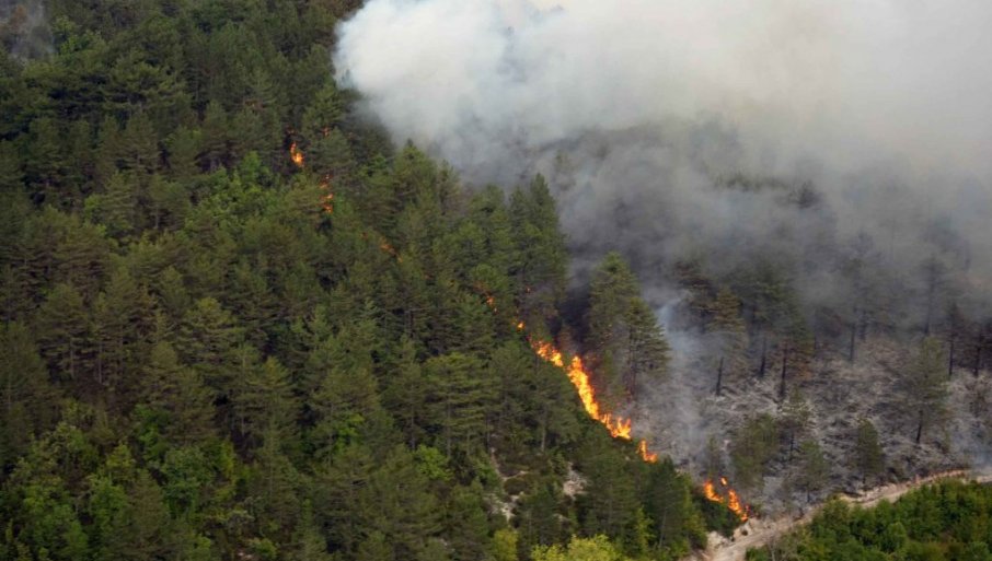 255964_trebinje-pozar-foto-mup_f