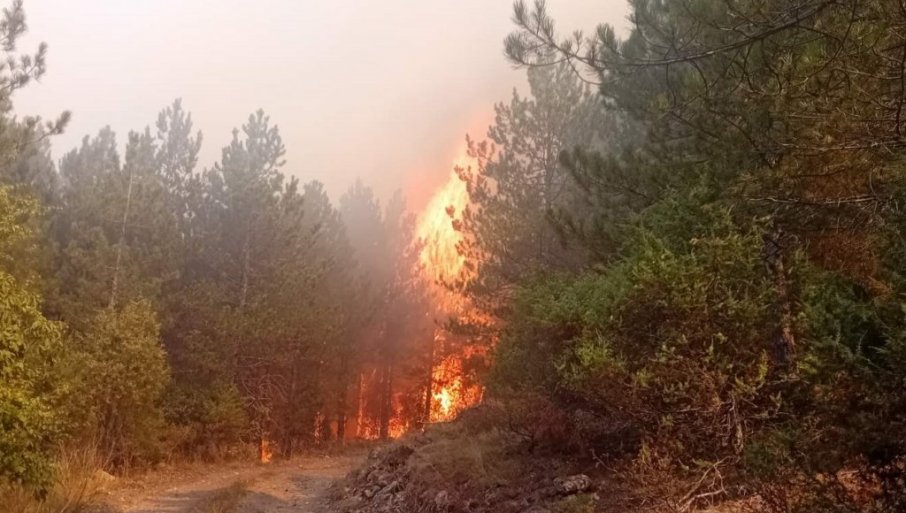 522630_kraljevo-sumski-pozar-u-ataru-sela-zzarcce-1-foto-gsljivic_f