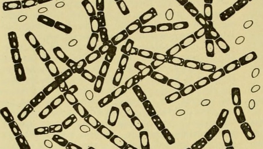 616970_profimedia-0994060652_f