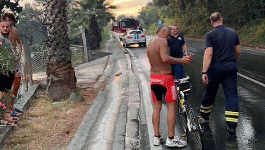 256858_viber-image-2022-08-11-07-51-48-358_f