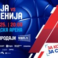 40276805tplauk