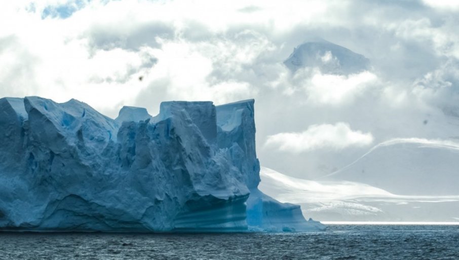 555599_113806-profimedia-0853780581-ig_f