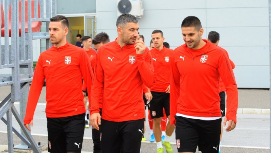 650354_20191116npkolarov1_f