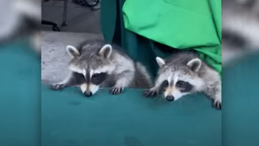 28340_screenshot-4_f