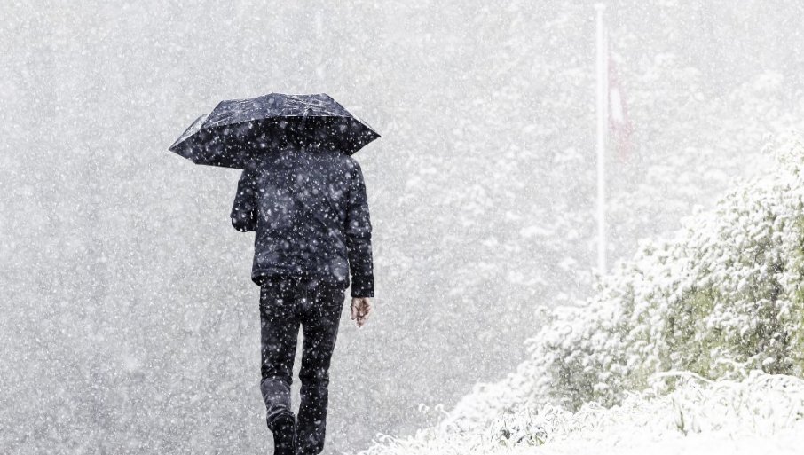 474266_tan2024-04-1815521724-8_f