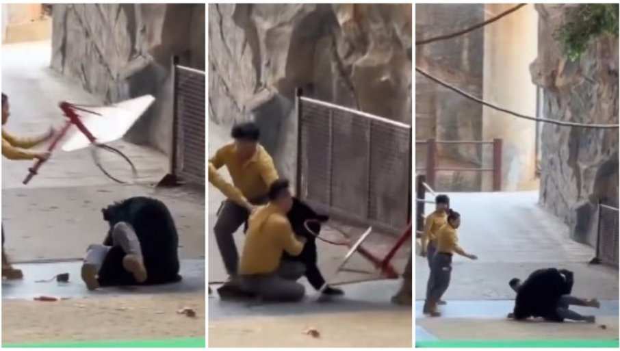 654741_photo-collagepng_f