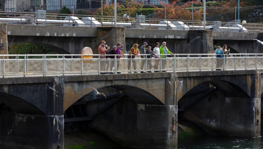 656632_profimedia-1043460475_f