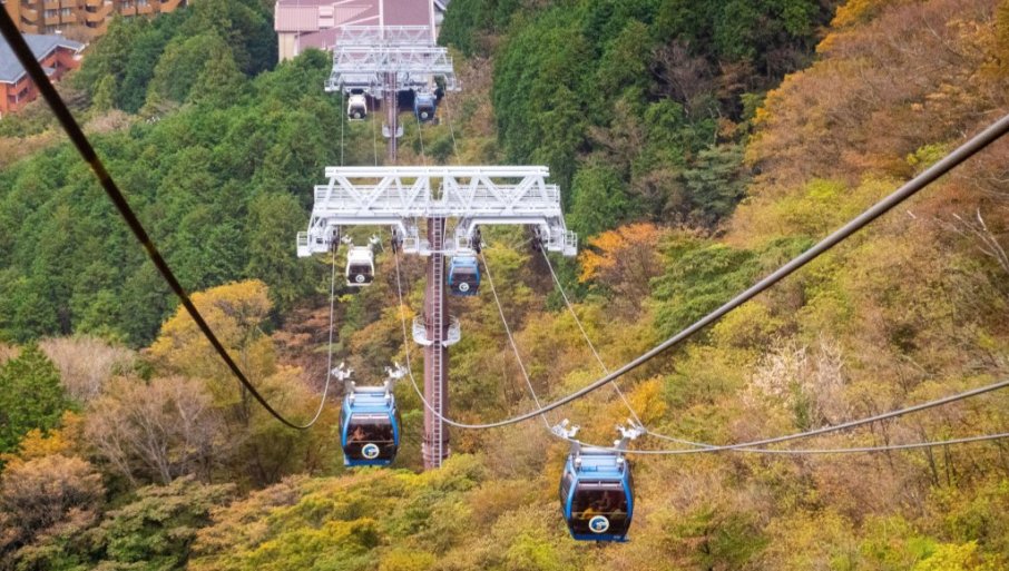 659566_profimedia-1009914436_f