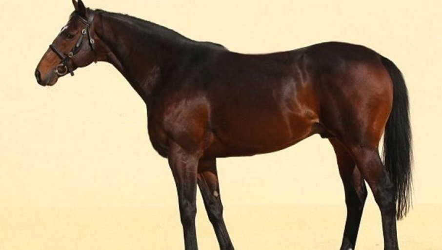 327136_6d1e57f2-59ae-4433-99ec-4158837a7f3e_f