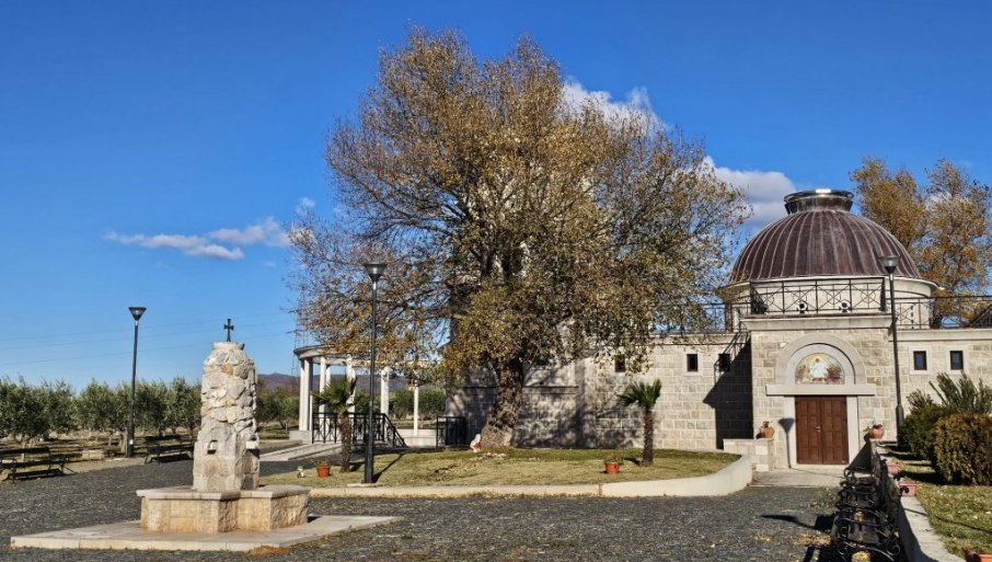 550560_whatsapp-image-2024-11-30-at-102746-b537303d_f