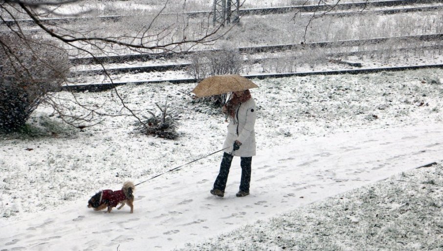 661118_prvi-sneg-u-smederevu_f