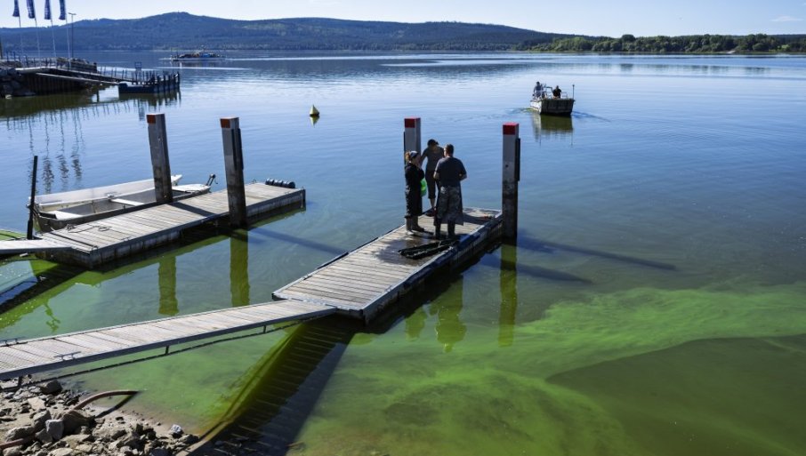 662184_profimedia-1034101866_f