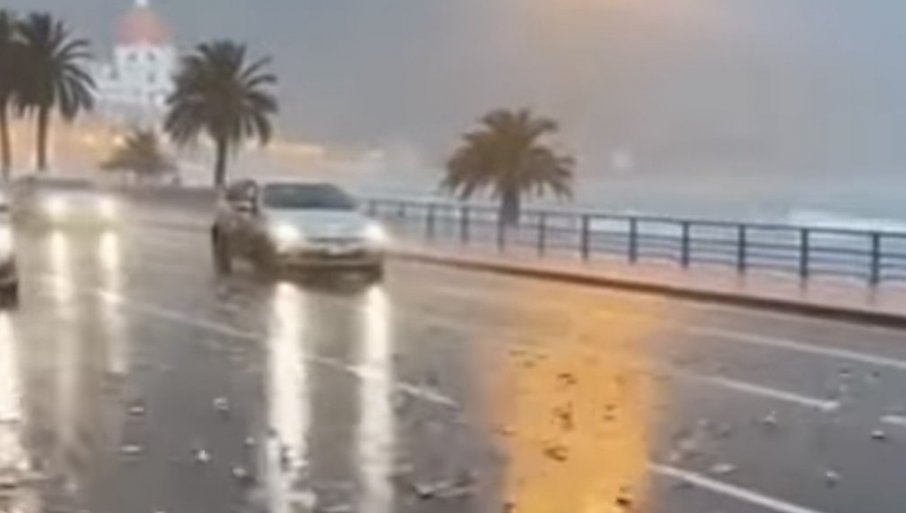 662399_kisa-riba-u-nici-1_f