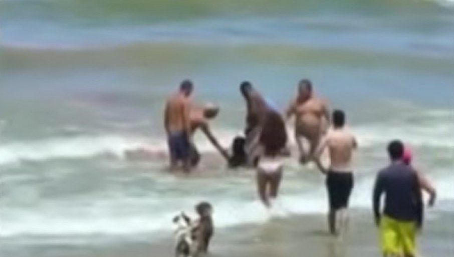 667802_screenshot-2026-01-30-114552erfgbvaerbt_f