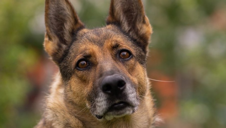 372562_profimedia-0579986433_f