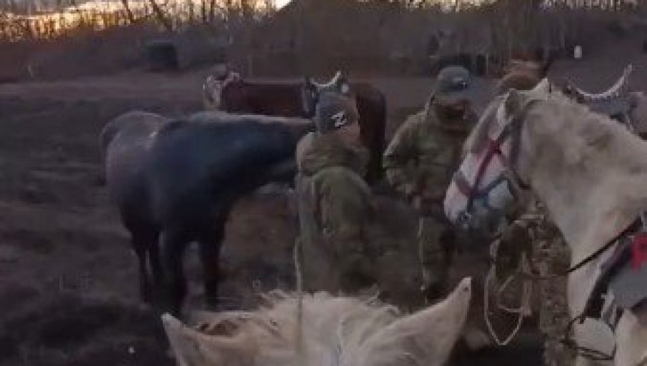 668565_screenshot-2026-02-02-132605ghkmcghmjgfc_f