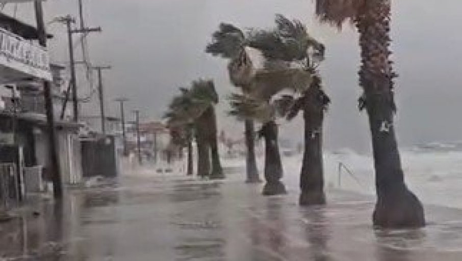 668862_screenshot-2026-02-03-155215uzgkmdfzju_f